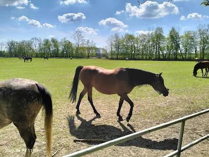 Stadnina Koni w Janowie Podlaskim